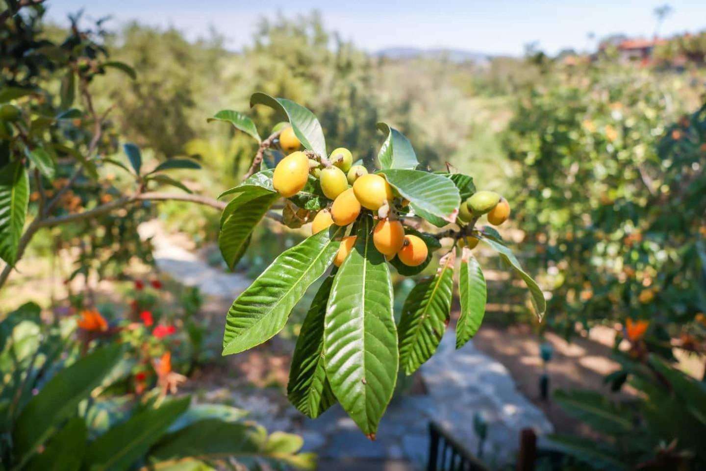 פולברוק Nature Focused Villa Designed For Wellness מראה חיצוני תמונה