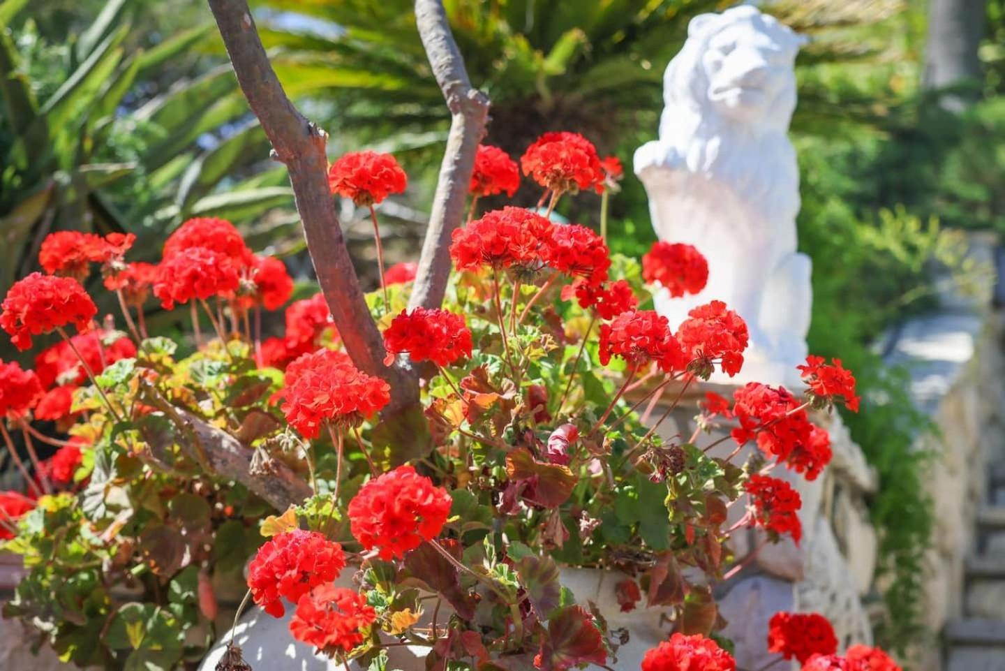 פולברוק Nature Focused Villa Designed For Wellness מראה חיצוני תמונה